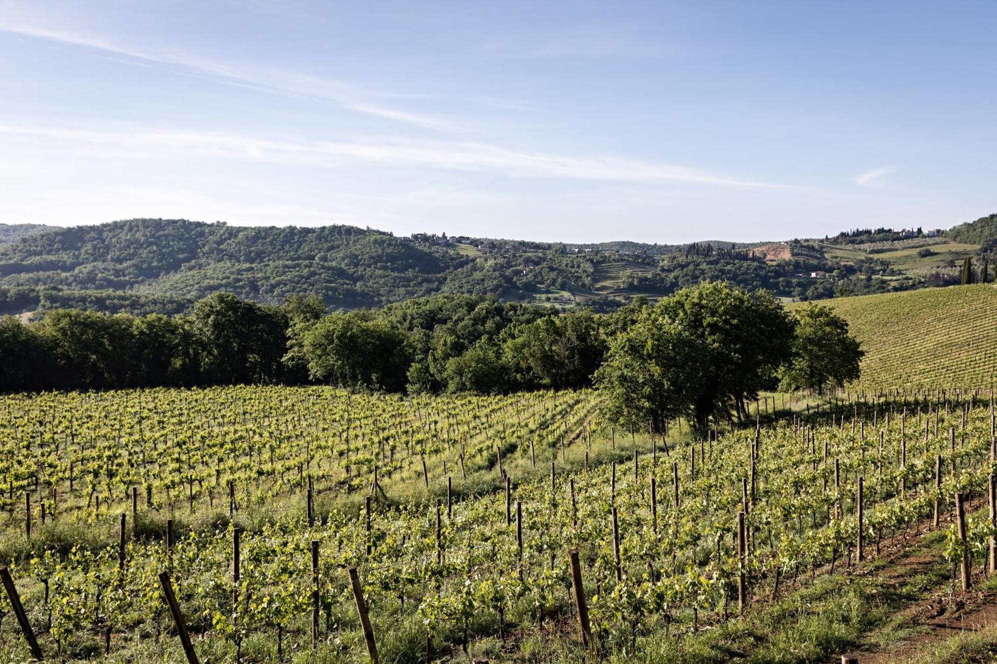 Pieve Aldina Relais & Chateaux Radda in Chianti Eksteriør billede